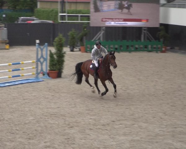 Reitturnier Aachen 2021