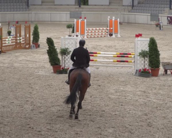 Reitturnier Aachen 2021