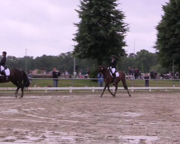 Reitturnier Coesfeld/Lette 2021