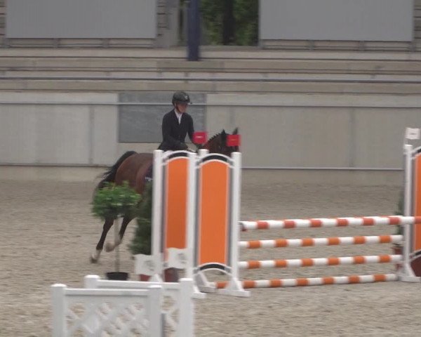 Reitturnier Aachen 2021