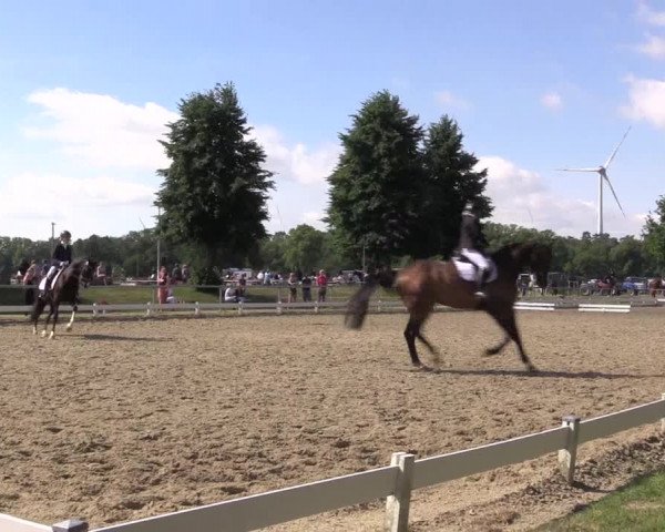 Reitturnier Coesfeld/Lette 2021