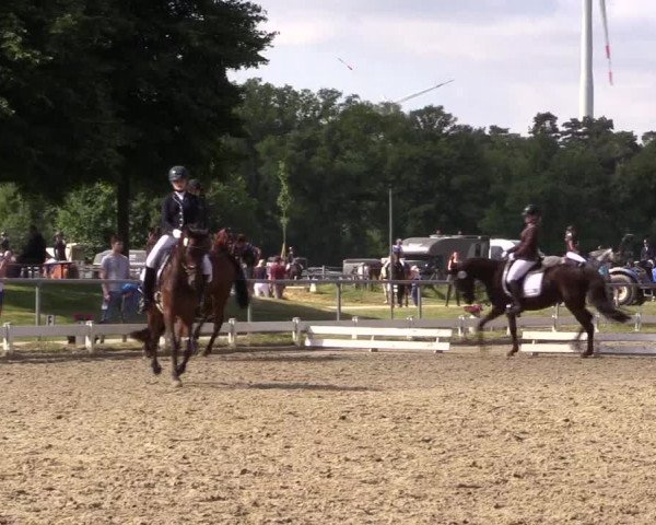 Reitturnier Coesfeld/Lette 2021