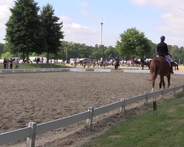 Reitturnier Coesfeld/Lette 2021