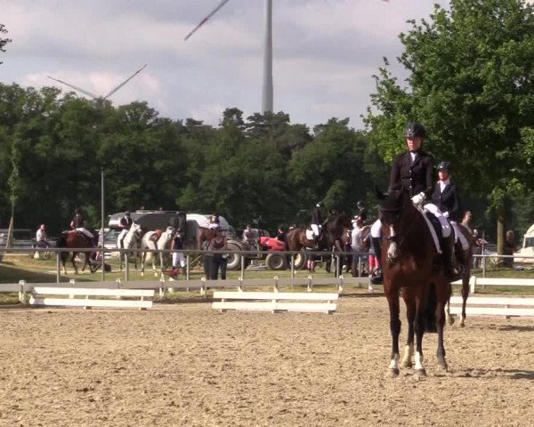 Reitturnier Coesfeld/Lette 2021