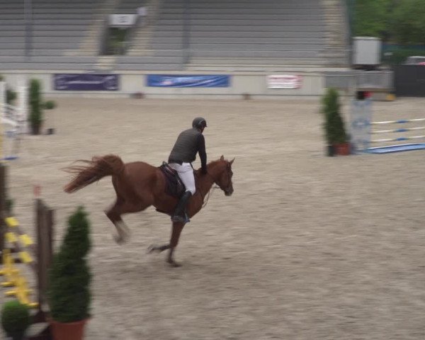 Reitturnier Aachen 2021