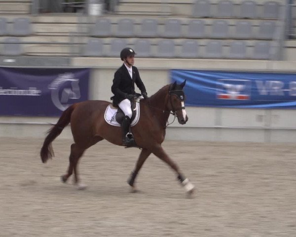 Reitturnier Aachen 2021