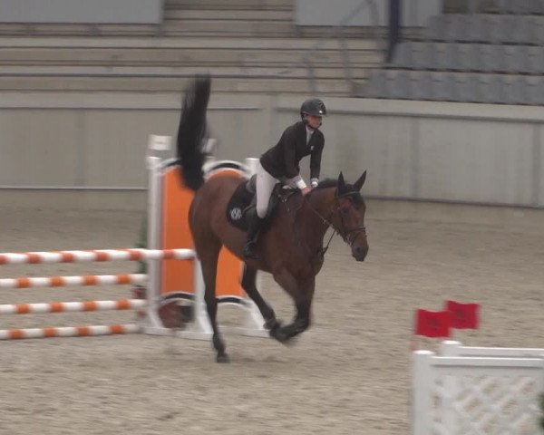 Reitturnier Aachen 2021