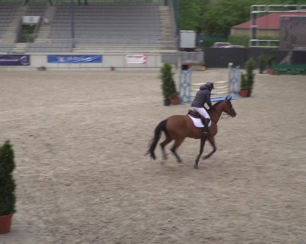 Reitturnier Aachen 2021