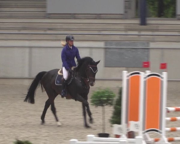 Reitturnier Aachen 2021