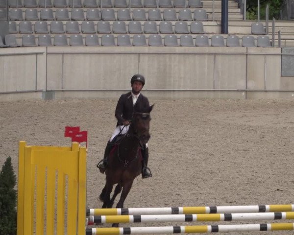 Reitturnier Aachen 2021