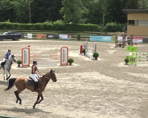Reitturnier Schaffhausen 2021