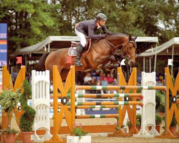 stallion HH Messenger (Hanoverian, 2007, from Montender)