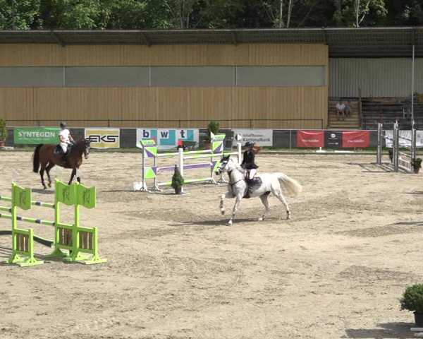 Reitturnier Schaffhausen 2021