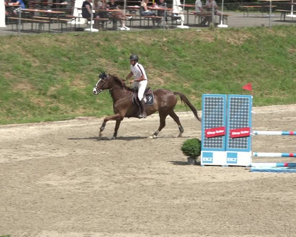 Reitturnier Schaffhausen 2021