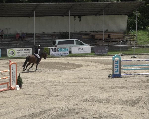 Reitturnier Schaffhausen 2021