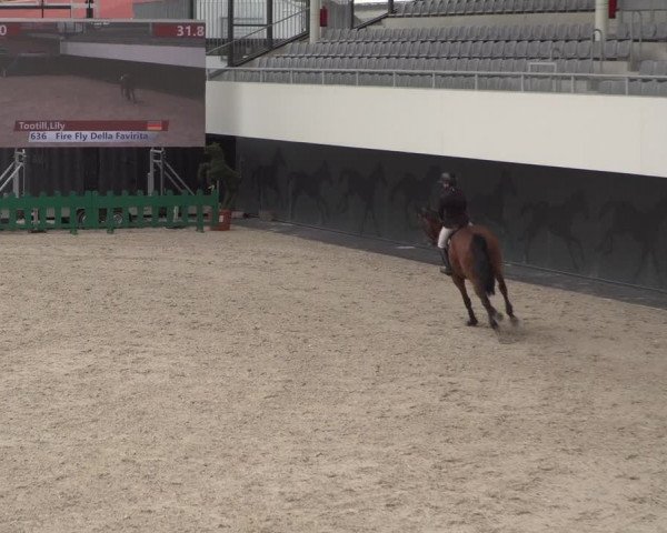 Reitturnier Aachen 2021