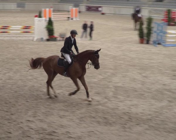 Reitturnier Aachen 2021