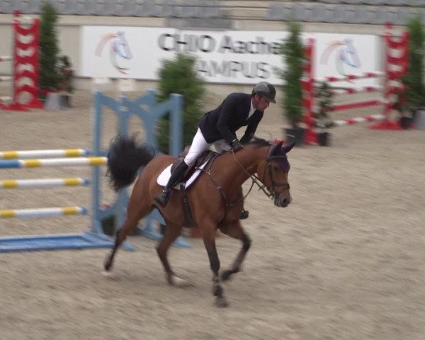 Reitturnier Aachen 2021