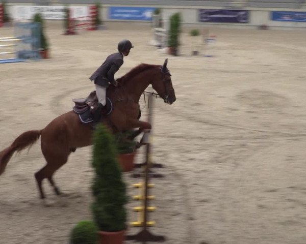 Reitturnier Aachen 2021