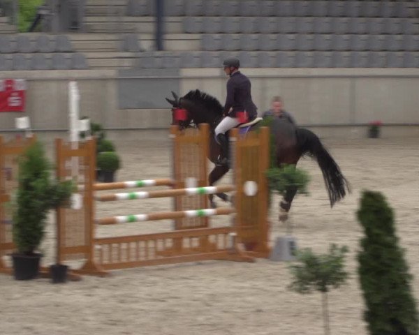 Reitturnier Aachen 2021
