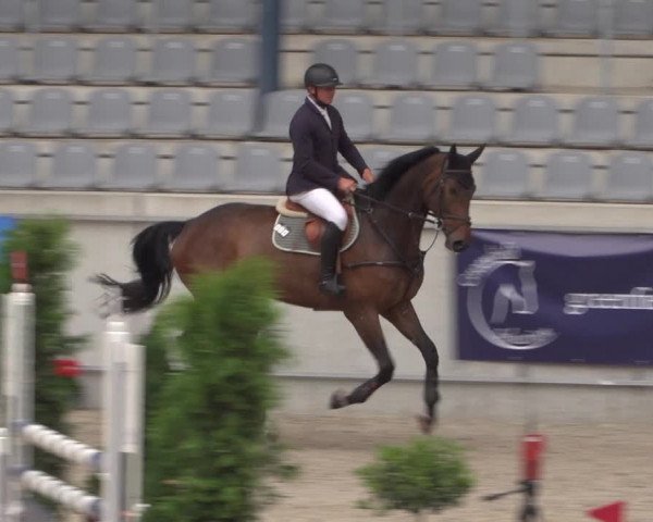 Reitturnier Aachen 2021