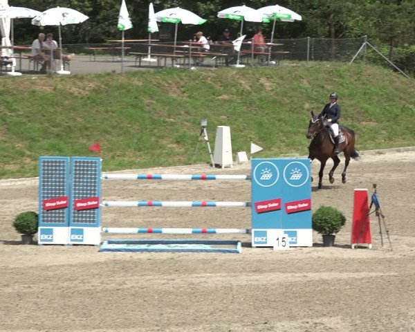 Reitturnier Schaffhausen 2021