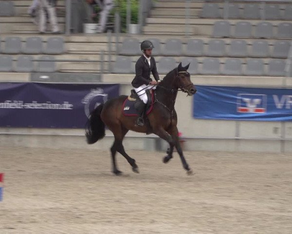 Reitturnier Aachen 2021