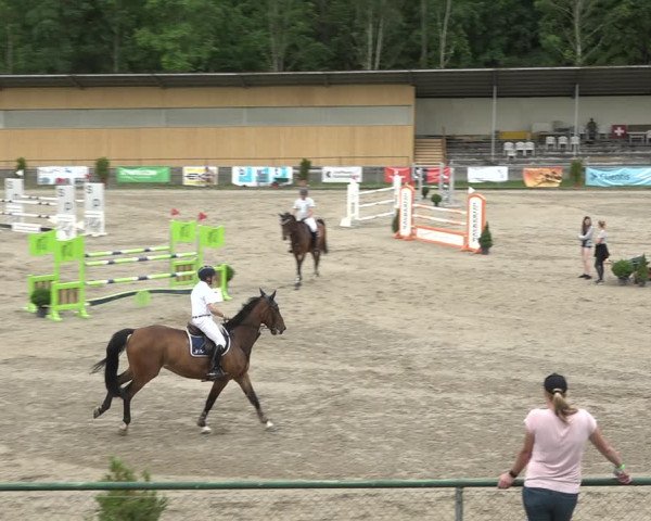 Reitturnier Schaffhausen 2021