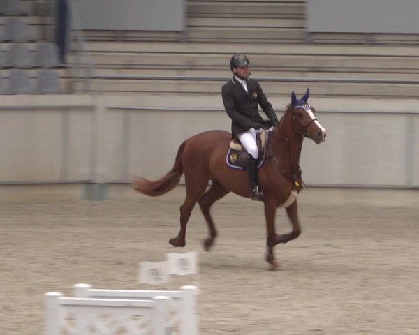 Reitturnier Aachen 2021