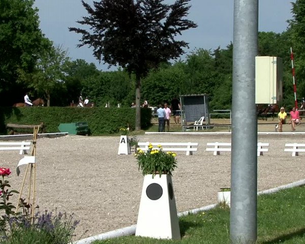 Reitturnier Fröndenberg 2021