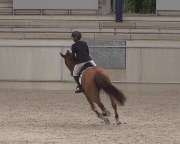 Reitturnier Aachen 2021