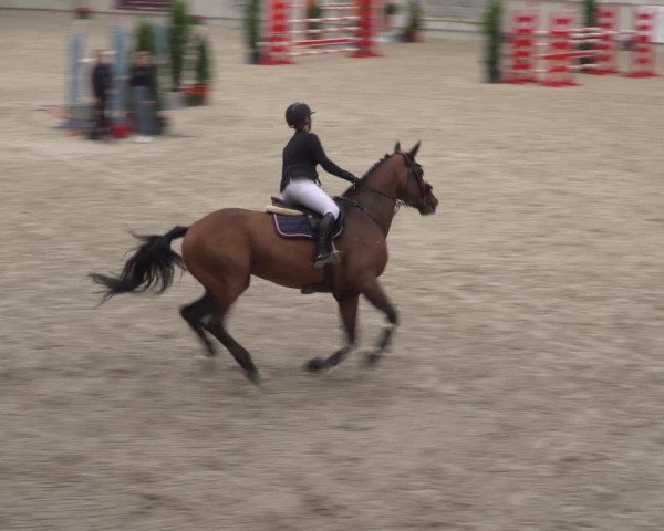Reitturnier Aachen 2021