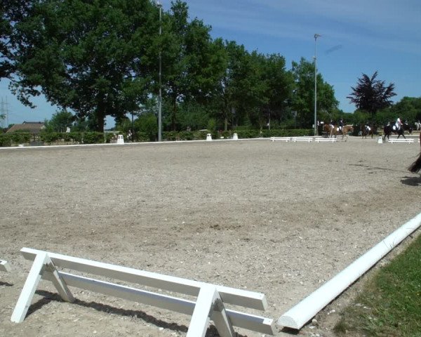Reitturnier Fröndenberg 2021