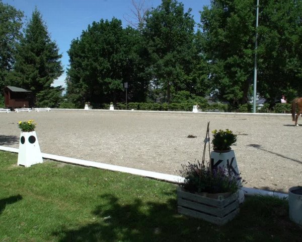 Reitturnier Fröndenberg 2021