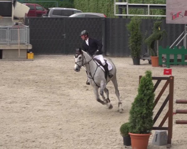 Reitturnier Aachen 2021