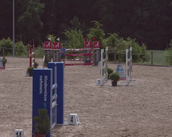 Reitturnier Meilen 2021