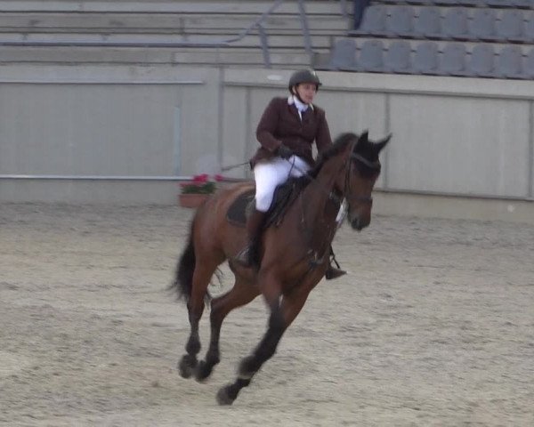 Reitturnier Aachen 2021
