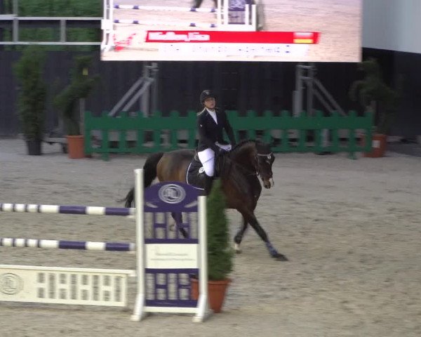 Reitturnier Aachen 2021