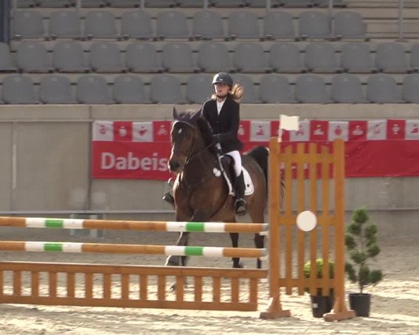 Reitturnier Aachen 2021