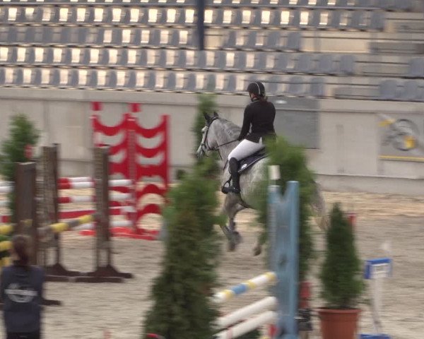 Reitturnier Aachen 2021