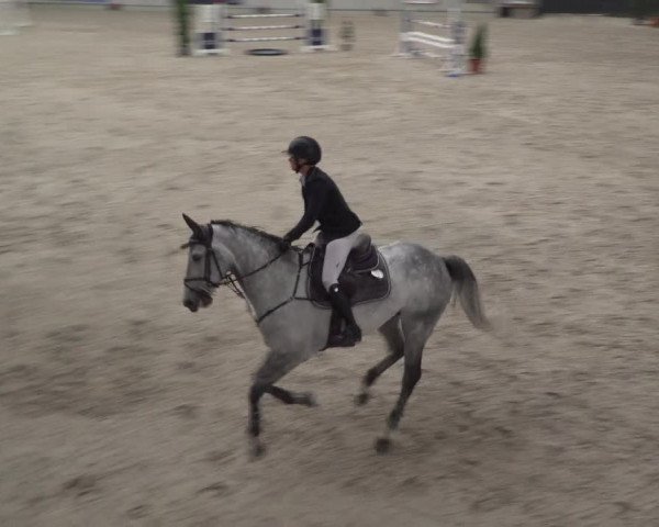 Reitturnier Aachen 2021