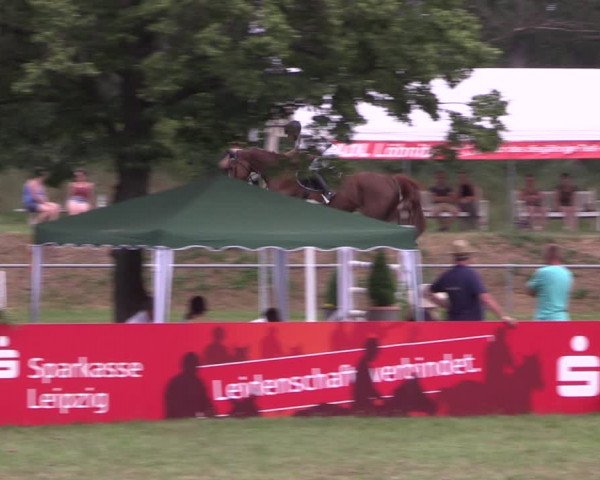 Reitturnier Reitstadion Löbnitz 2021