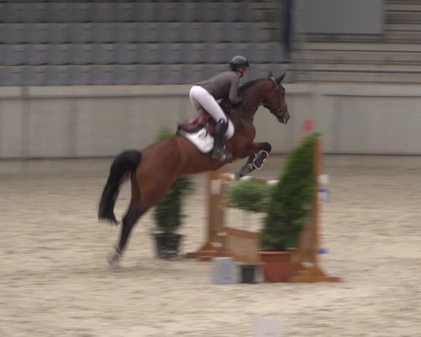 Reitturnier Aachen 2021