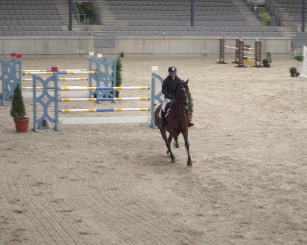Reitturnier Aachen 2021