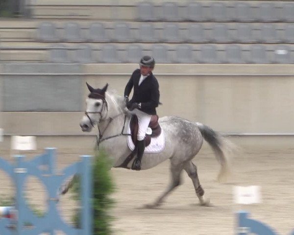 Reitturnier Aachen 2021