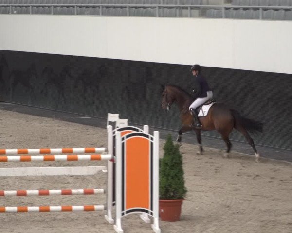 Reitturnier Aachen 2021
