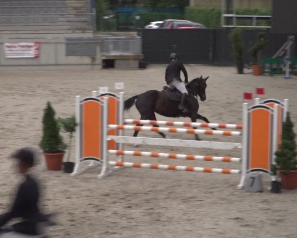 Reitturnier Aachen 2021