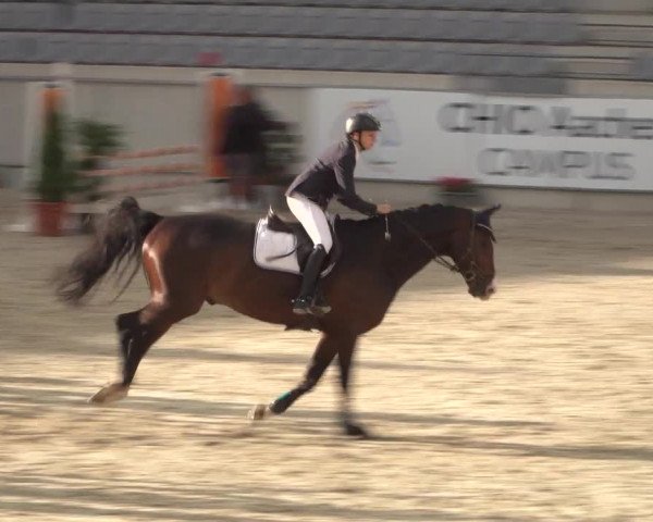 Reitturnier Aachen 2021