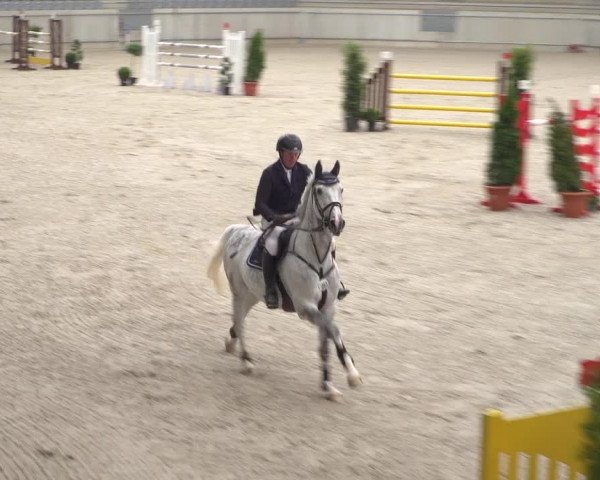 Reitturnier Aachen 2021