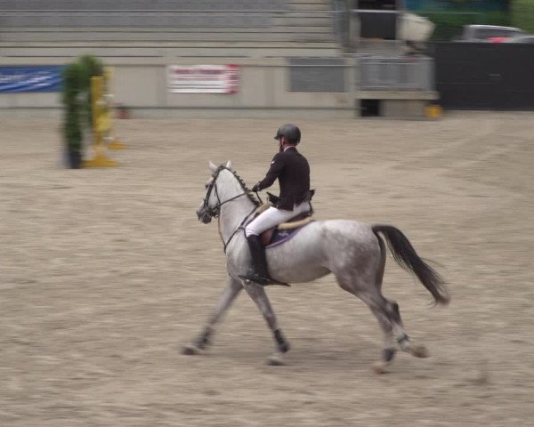 Reitturnier Aachen 2021